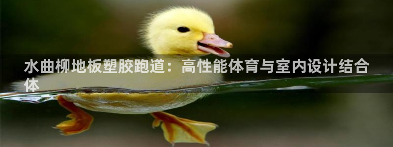 红足一1世官网足球推荐真人：水曲柳地板塑胶跑道：高性能体育与室内设计结合
体