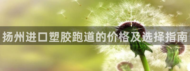 百度红足一1使用说明：扬州进口塑胶跑道的价格及选择指南