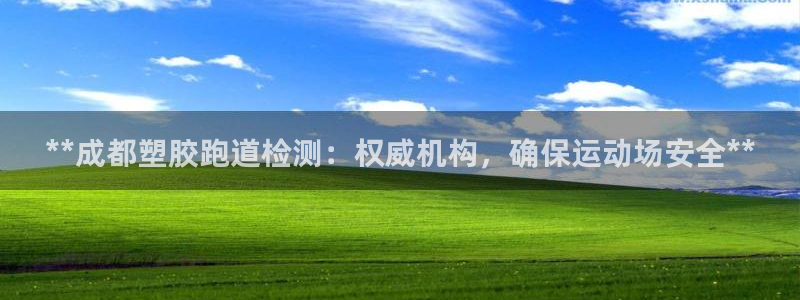 红足一1世开奖记录：**成都塑胶跑道检测：权威机构，确保运动场安全**