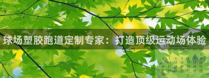 红足1世开奖预测：球场塑胶跑道定制专家：打造顶级运动场体验