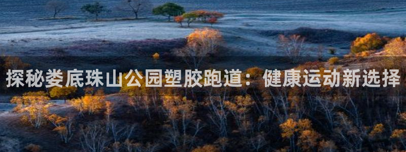 红世一足球比分：探秘娄底珠山公园塑胶跑道：健康运动新选择