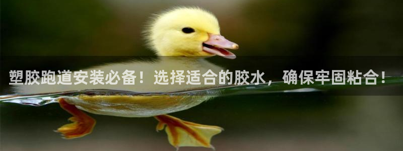 红足一1世平台：塑胶跑道安装必备！选择适合的胶水，确保牢固粘合！