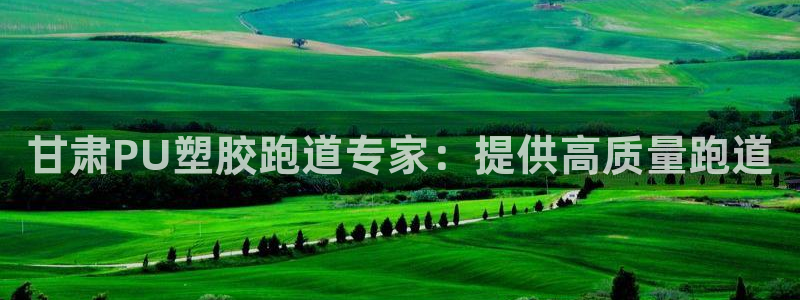 66814红足：甘肃PU塑胶跑道专家：提供高质量跑道