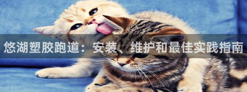 777814红·足一世：悠湖塑胶跑道：安装、维护和最佳实践指南