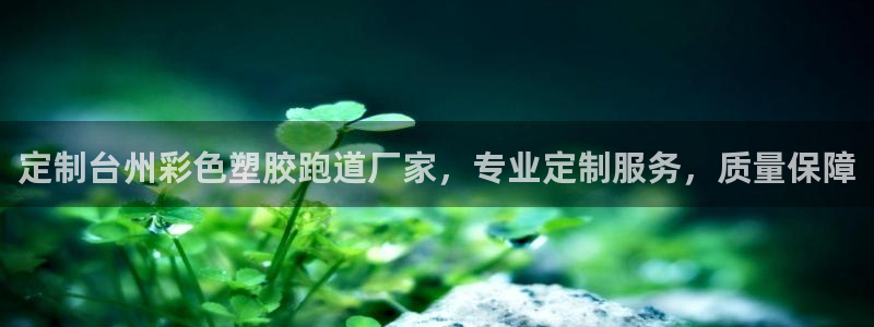 红足一1世77814：定制台州彩色塑胶跑道厂家，专业定制服务，质量保障