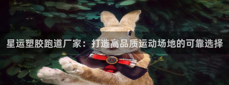 红足1世足球比分 localhost：星运塑胶跑道厂家：打造高品质运动场地的可靠选择