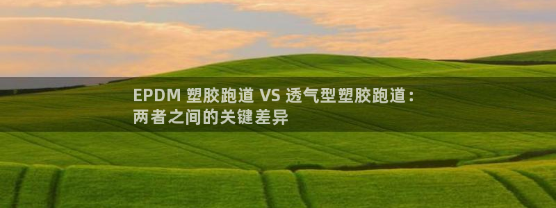 44814红足：EPDM 塑胶跑道 VS 透气型塑胶跑道：
两者之间的关键差异