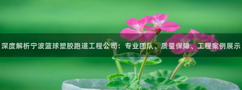 红足1世开奖预测：深度解析宁波篮球塑胶跑道工程公司：专业团队、质量保障、工程案例展示
