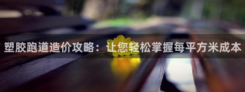 红足一1世官网：塑胶跑道造价攻略：让您轻松掌握每平方米成本