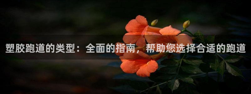 红足一1世官网比分：塑胶跑道的类型：全面的指南，帮助您选择合适的跑道